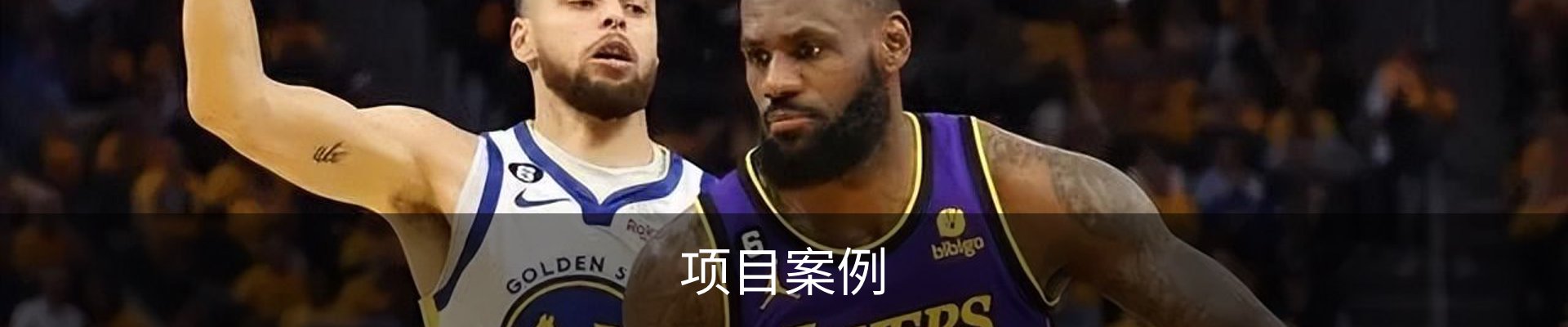 项目案例